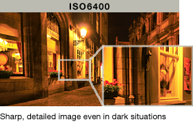 ISO6400 Sharp, detailed image even in dark situations